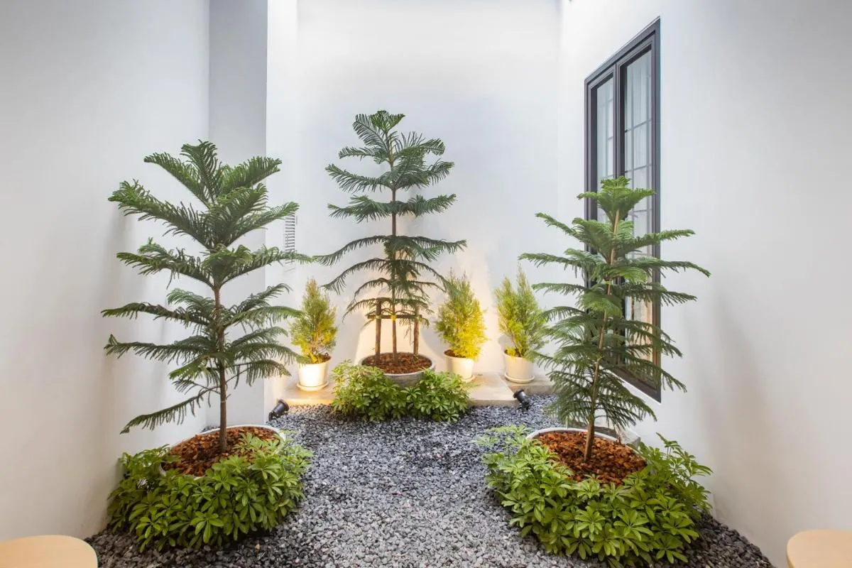 Image 5 of The Elements Boutique House
