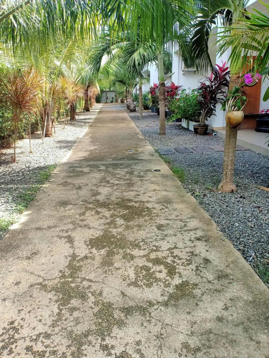 Image 5 of Coconoi Residence