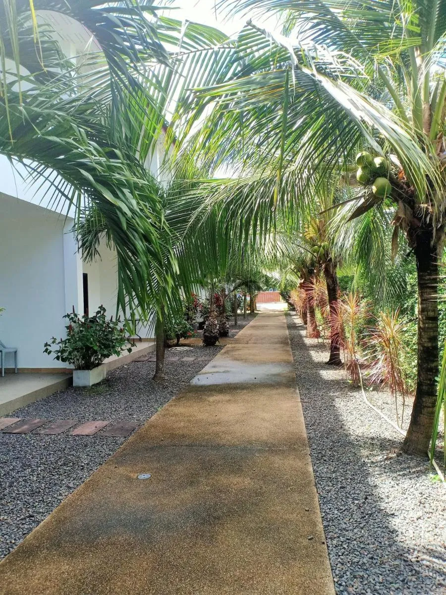 Image 3 of Coconoi Residence