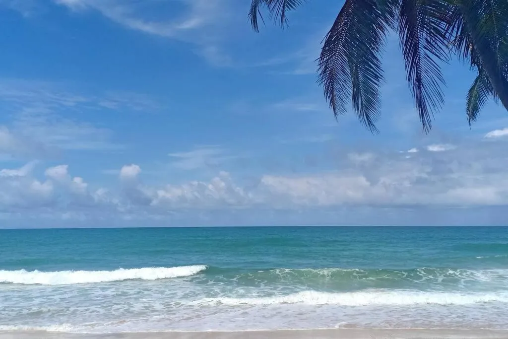 Image 2 of Kata Ocean View Condominium, Seaview & Luxury K12