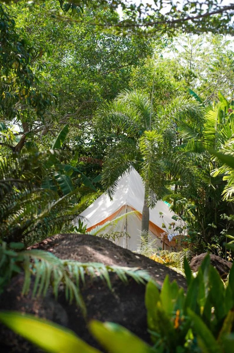Image 4 of Roost Glamping – SHA Certified
